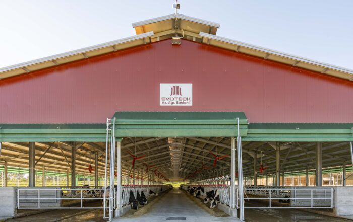 la ventilazione nel settore bovino